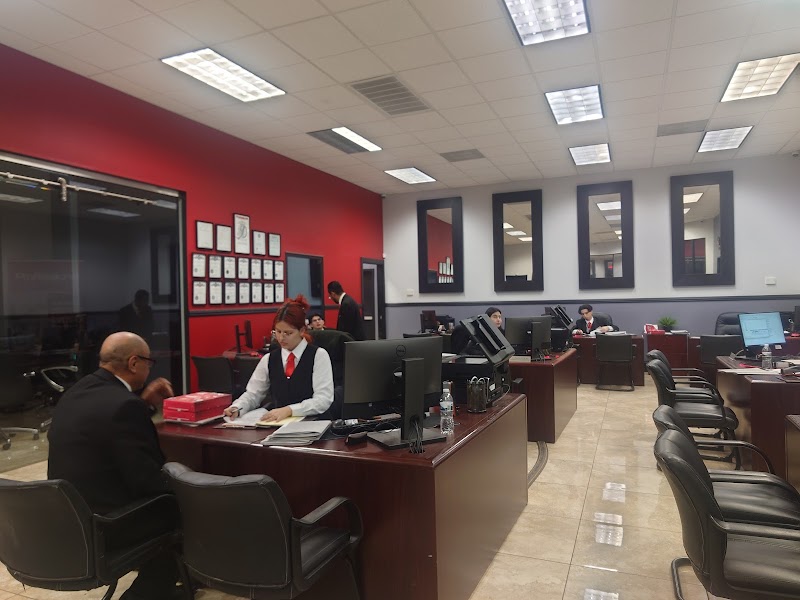 The Professional Multiservices