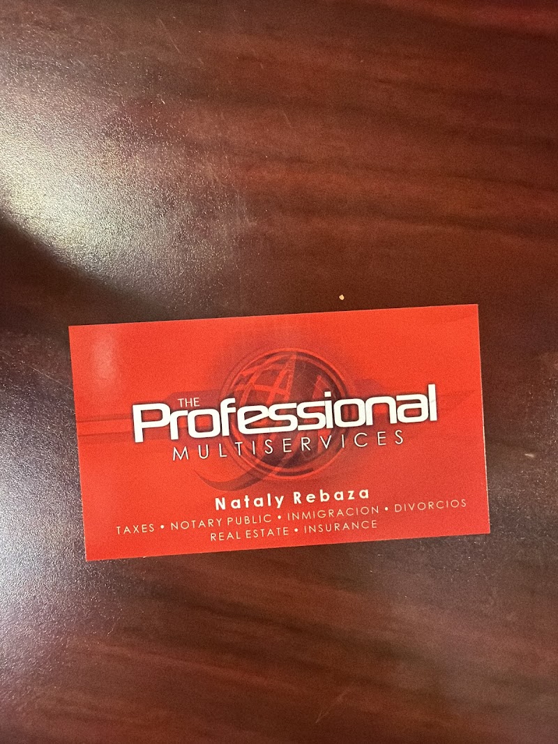 The Professional Multiservices