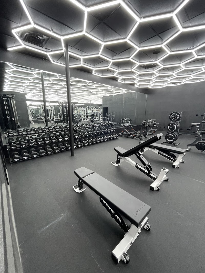 The Strip Barbell