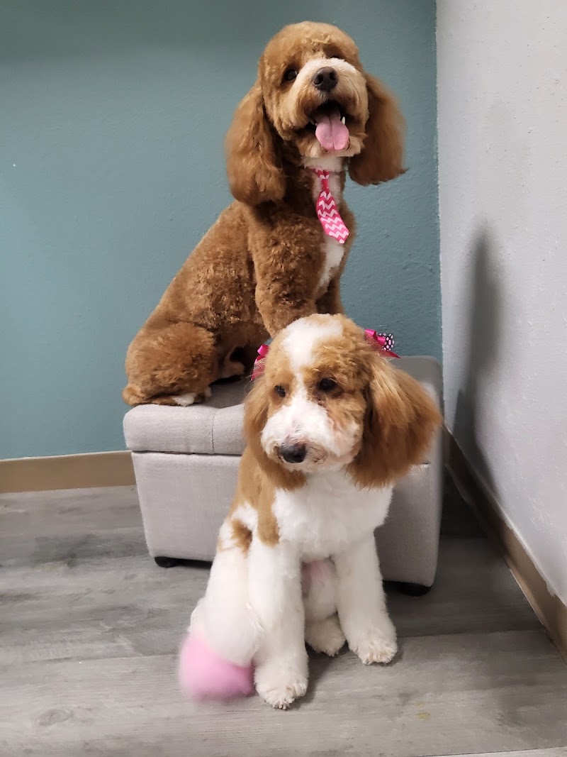 Wag-N-Tails Pet Grooming