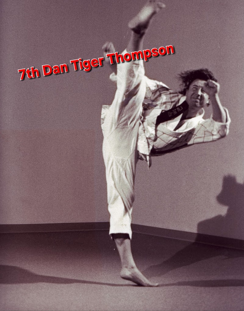 Thompson’s Taekwondo Academy of Martial Arts / Women's Fitness Kickboxing