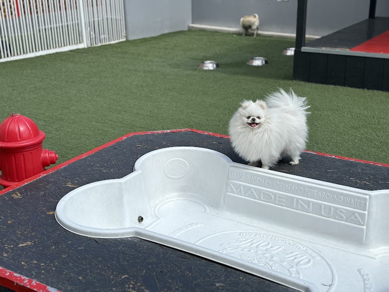 Luxe Pet Hotels