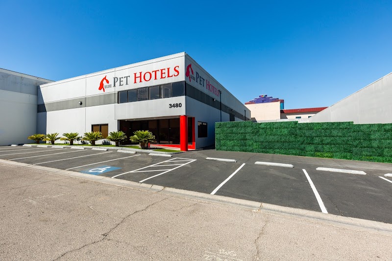 Luxe Pet Hotels
