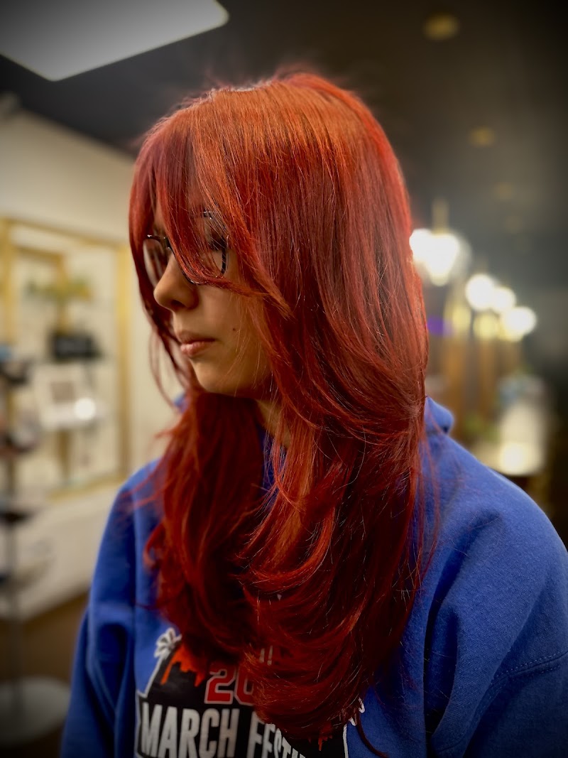 A Perfect Hue Salon