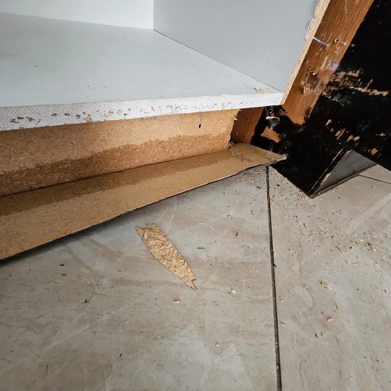 RemediationX