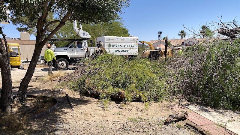 Ryans Tree Care LLC