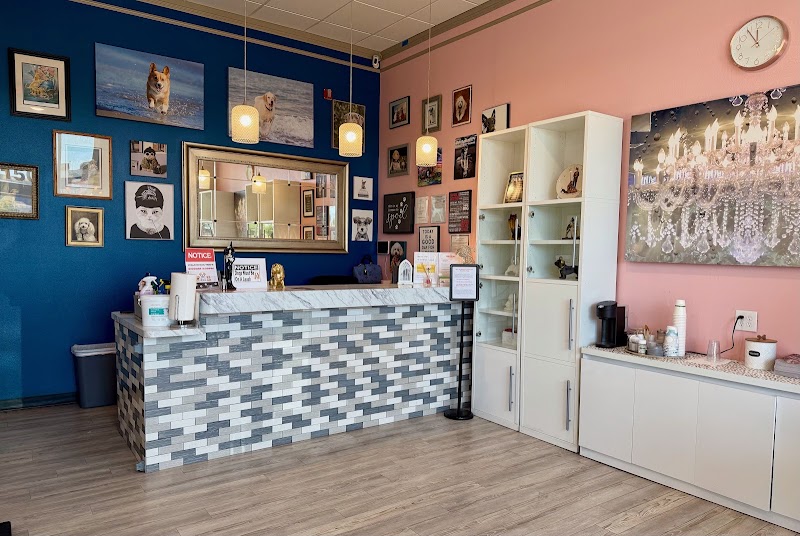 Barks and Bubbles Salon & Mobile Pet Grooming