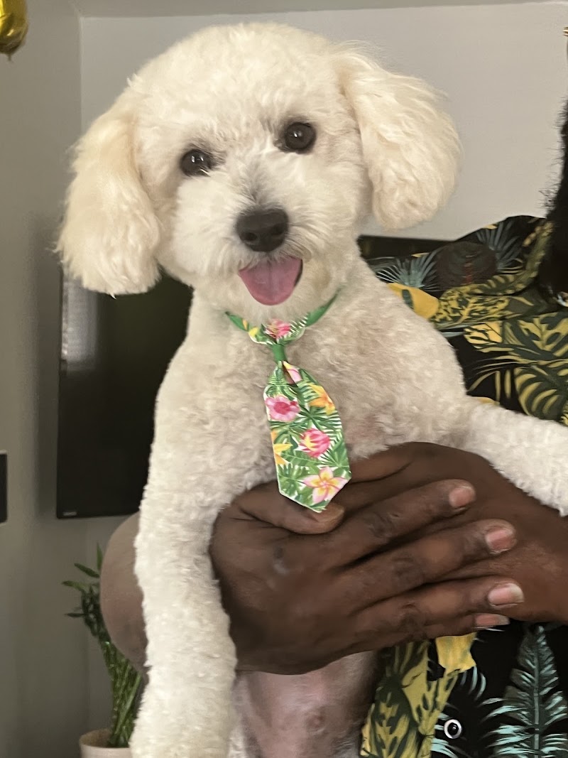 Doug King’s Pup Star Pet Salon