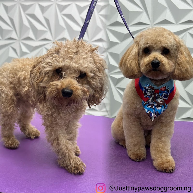 JUST TINY PAWS DOG GROOMING