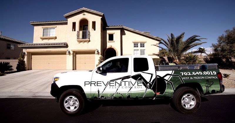 Preventive Pest Control Las Vegas