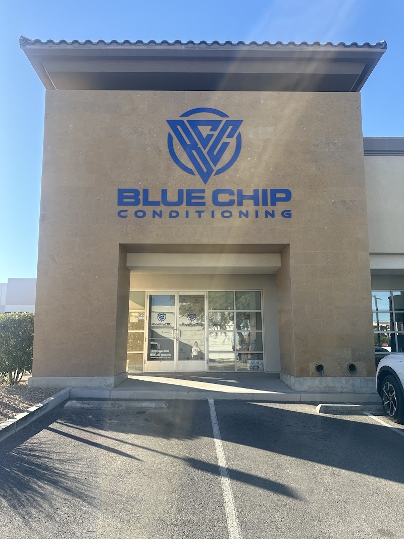 Blue Chip Conditioning The Pilates Studio