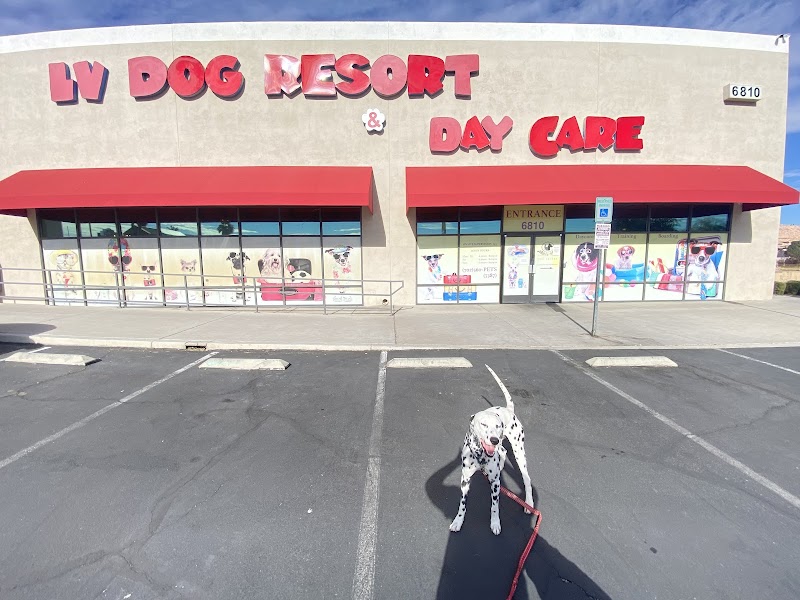 LV Dog Hotel