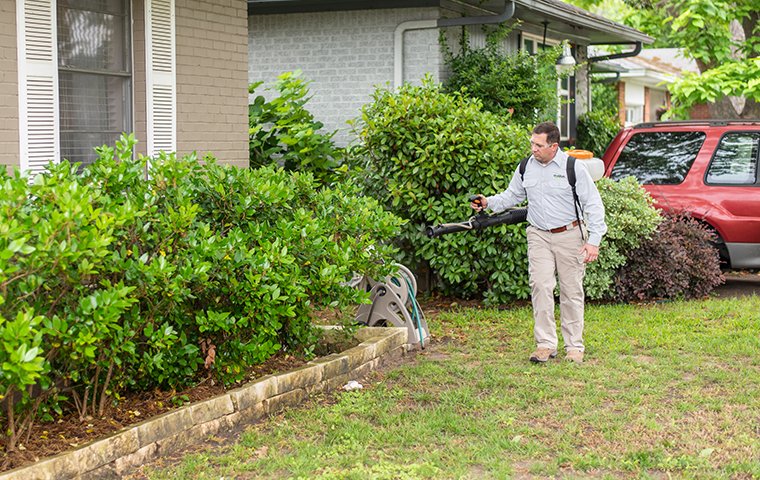 Evolve Pest Control