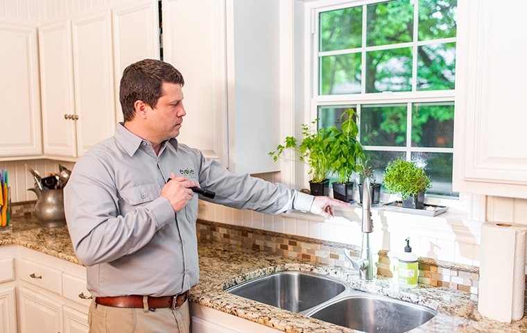 Evolve Pest Control