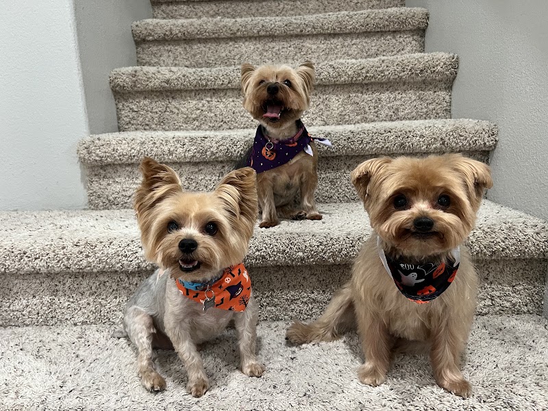 PinkPaw Pet Salon