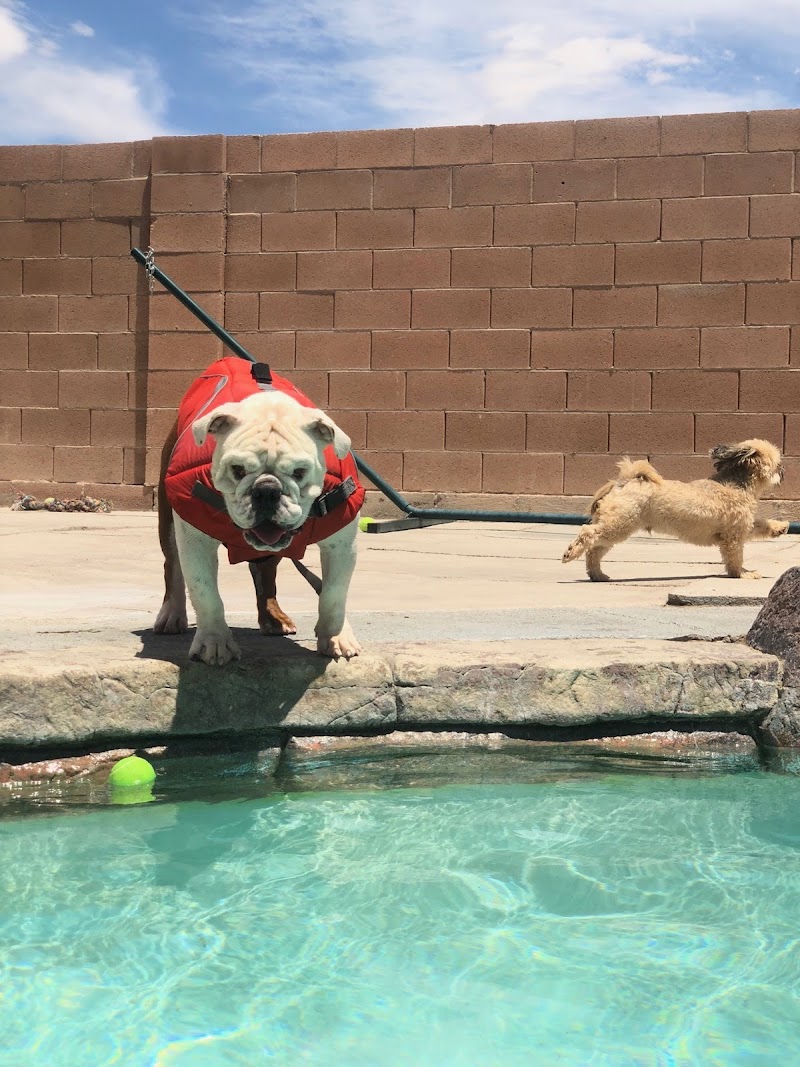 North Paws Ranch