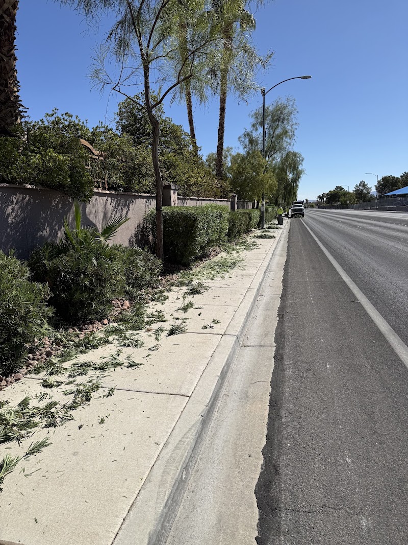 Desert Palms Landscaping