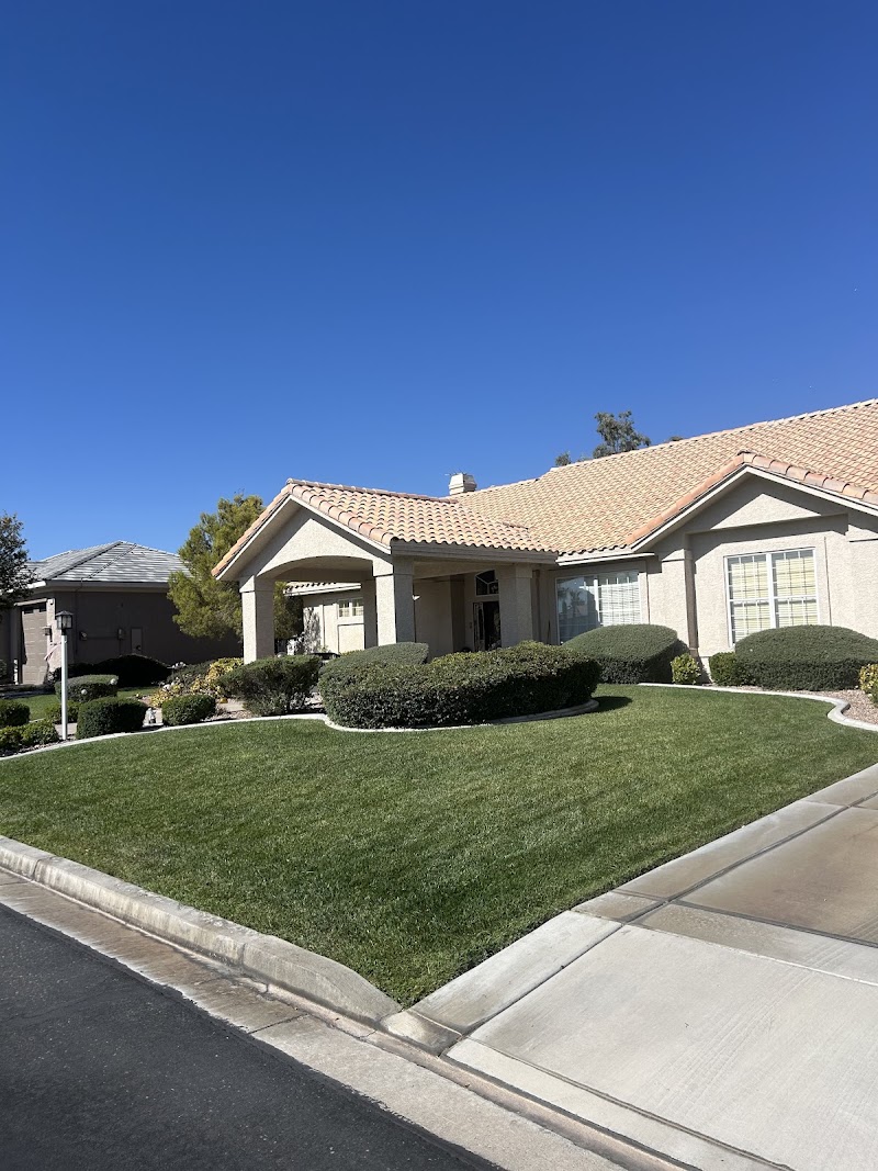 Desert Palms Landscaping