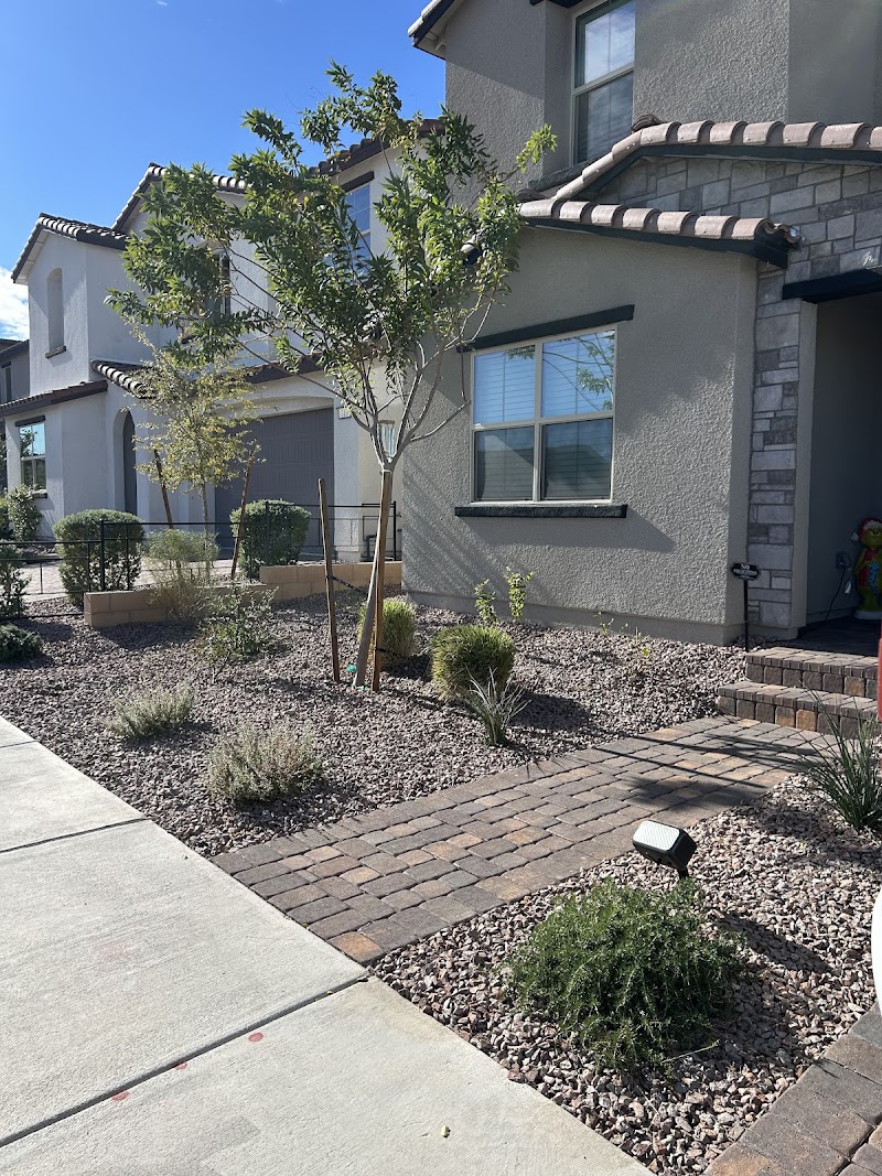 Desert Palms Landscaping