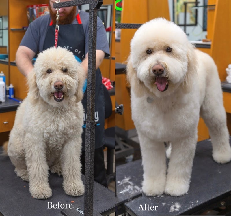 Happy And Lucky Pet Salon And Mobile Grooming.