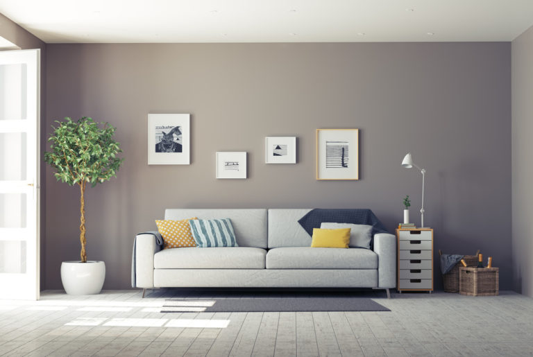 The Kiwi Painter