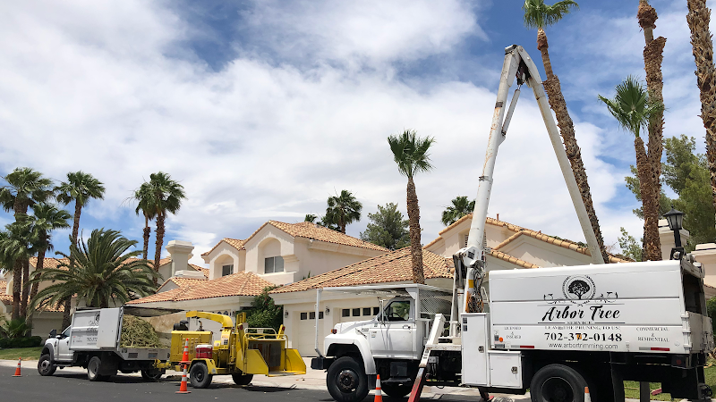 Arbor Tree Service