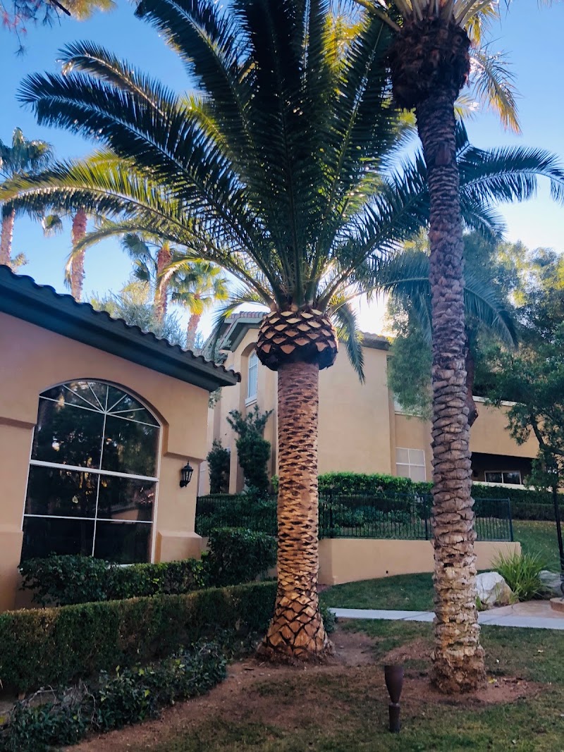 Arbor Tree Service