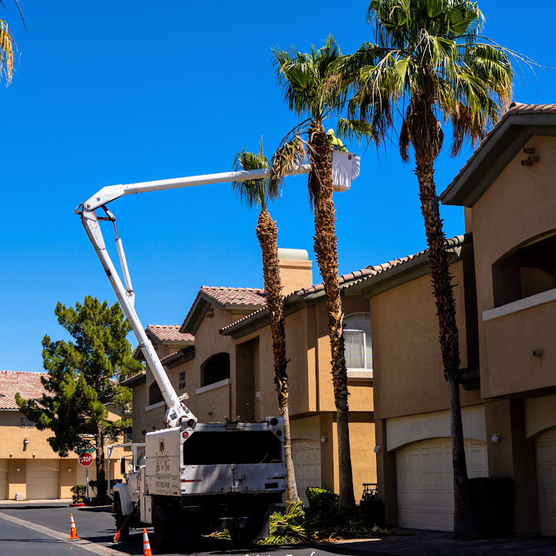 Arbor Tree Service