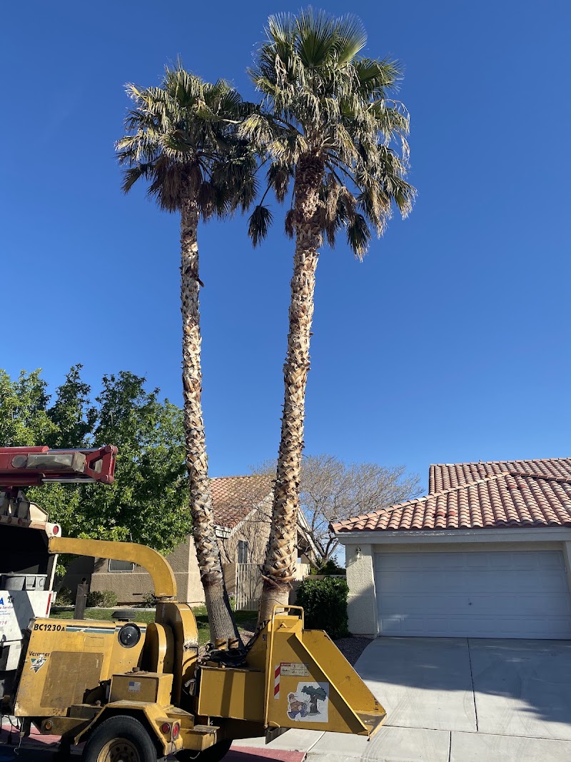 AAA Professional Tree Service
