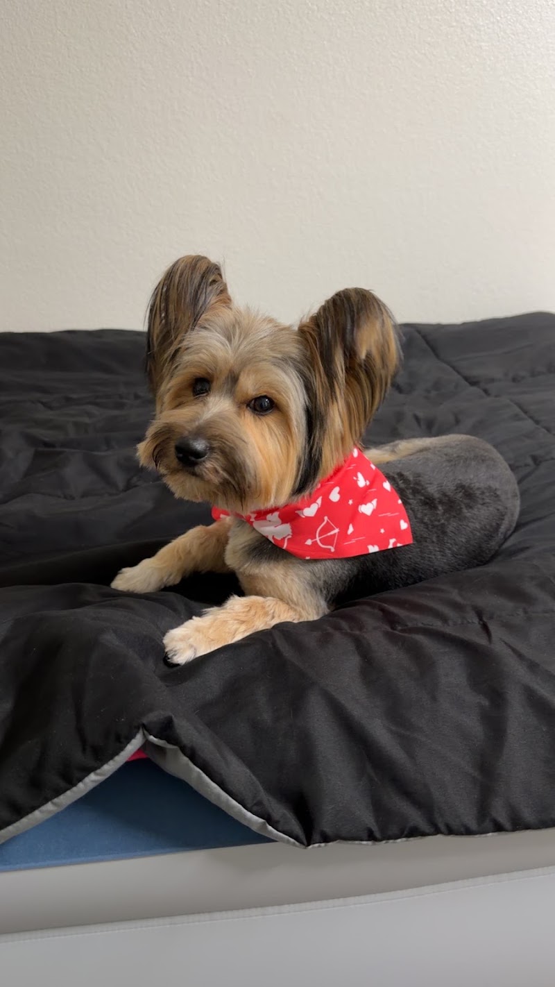 Paw-lished Pets Salon