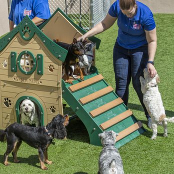 Doggie District - Craig Road