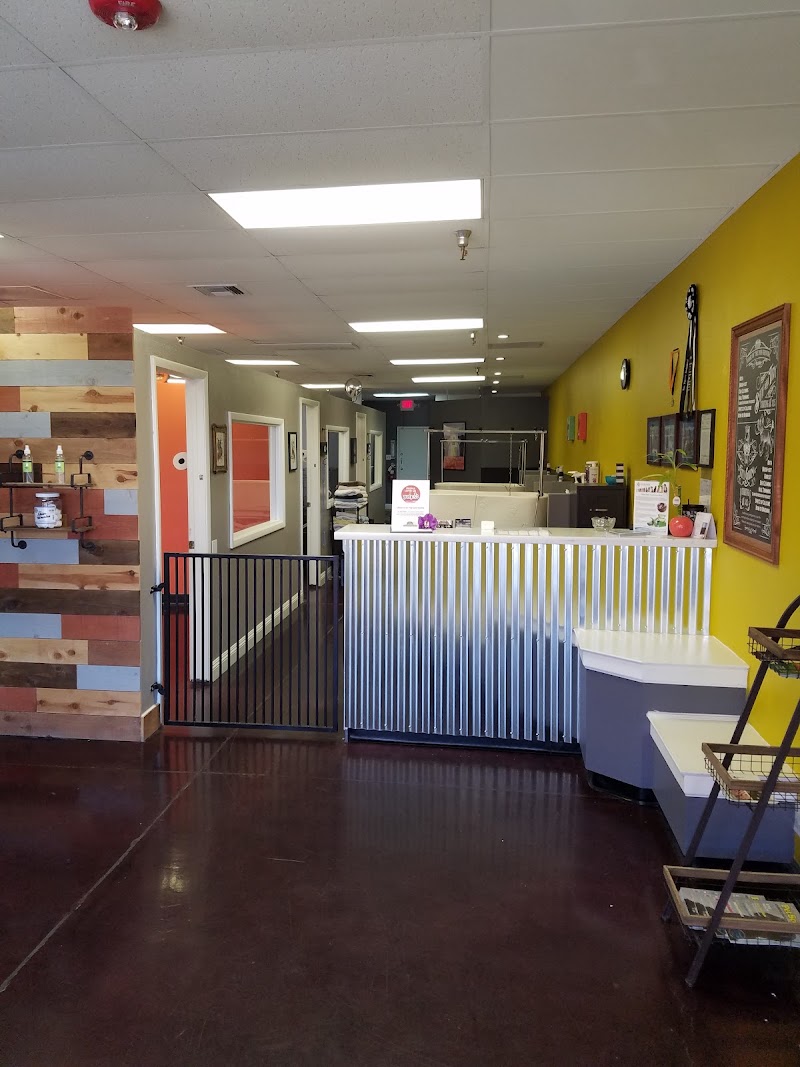 Hair Of The Dog Grooming Salon