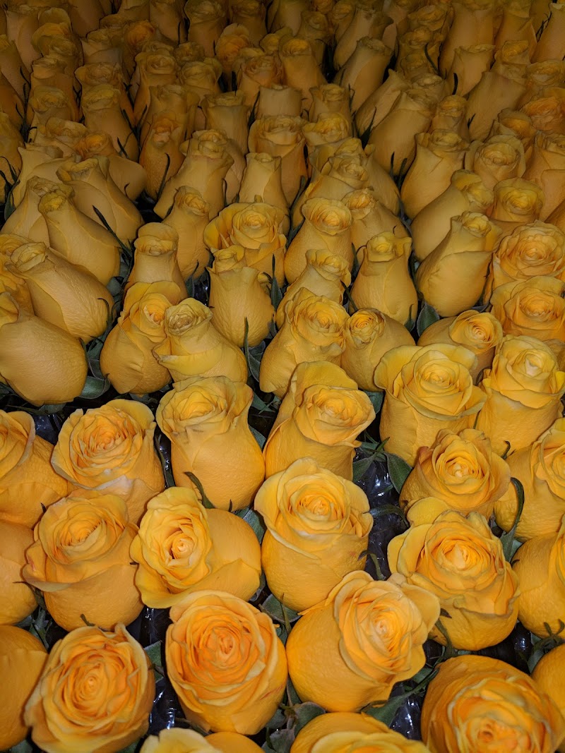 By Dzign Event Planning