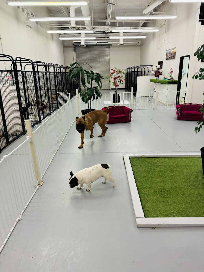 Z Pet Hotels