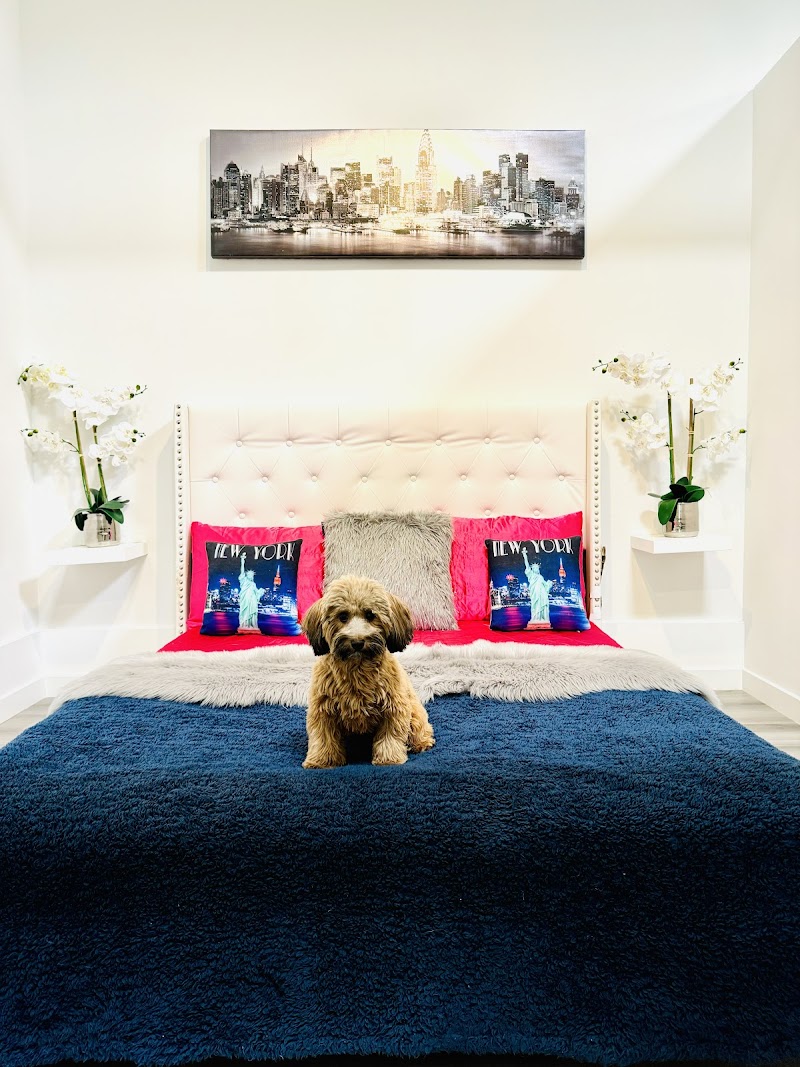 Z Pet Hotels