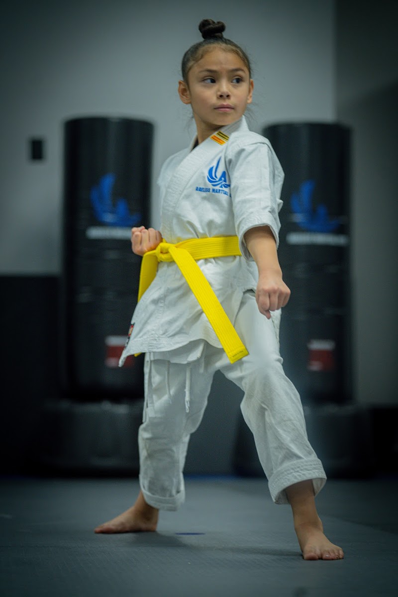 Ageless Martial Arts Las Vegas