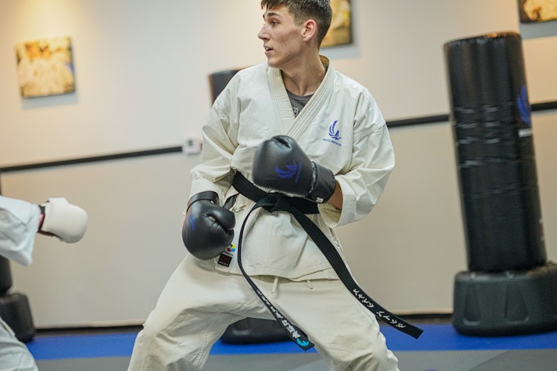 Ageless Martial Arts Las Vegas