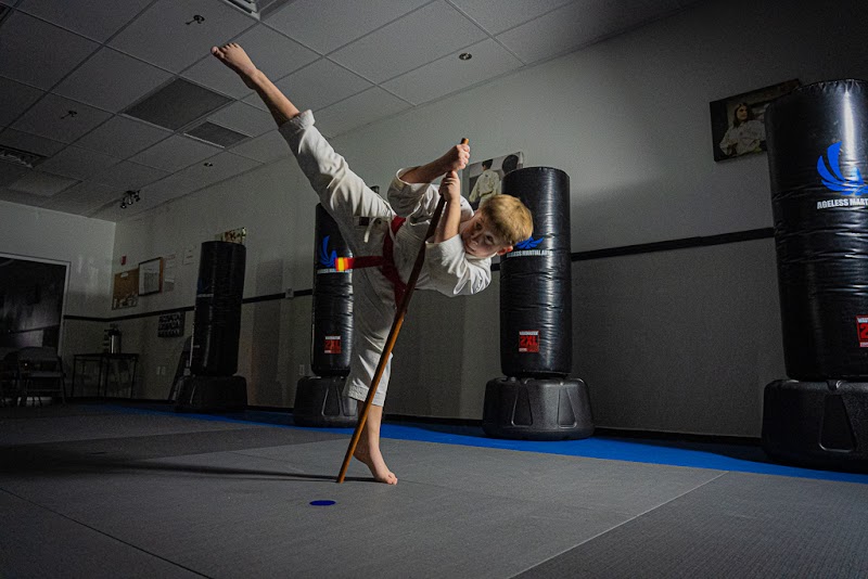 Ageless Martial Arts Las Vegas