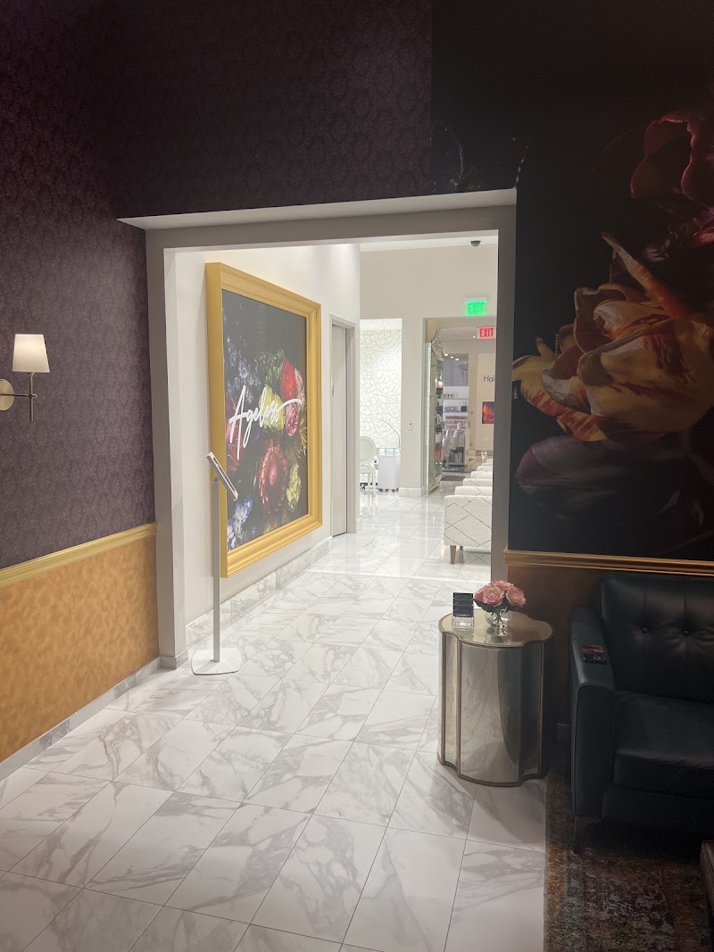 Ageless Las Vegas