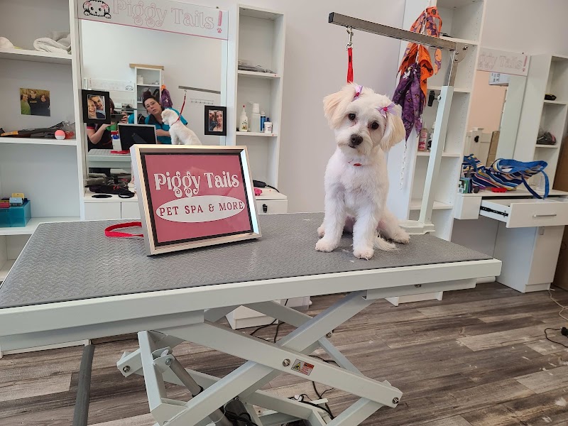 Piggy Tails Pet Spa & More