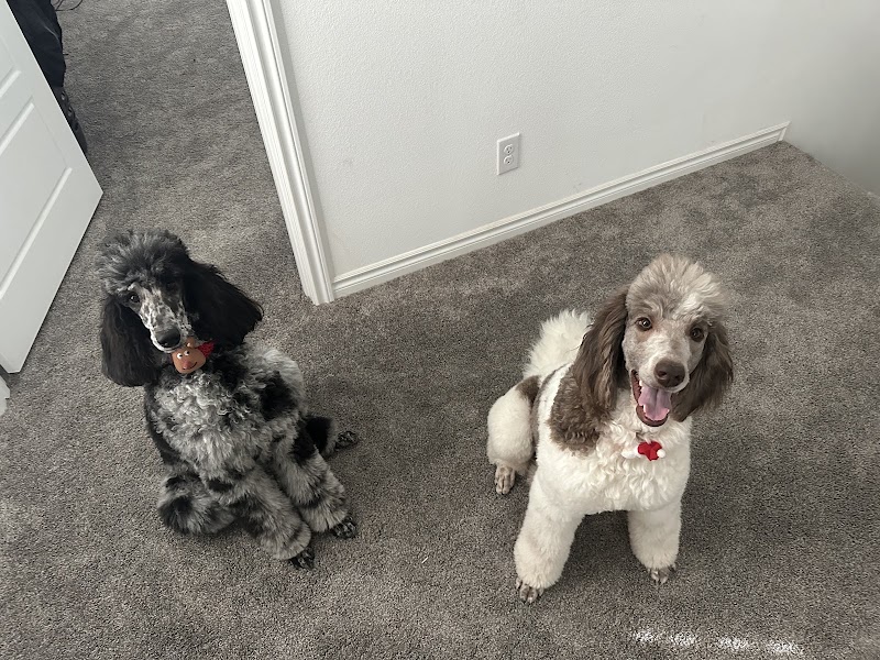 Pawfect Beauty Luxury Grooming