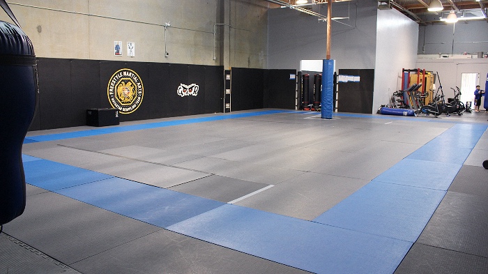 Freestyle Martial Arts