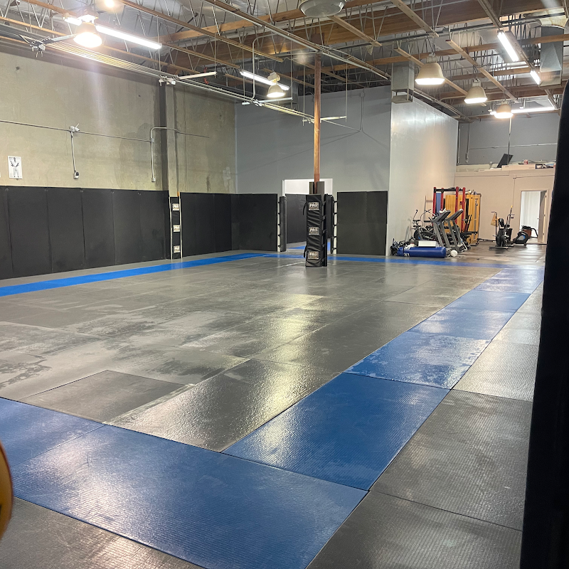Freestyle Martial Arts