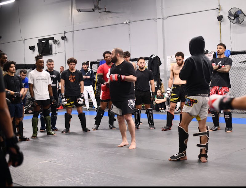 Freestyle Martial Arts