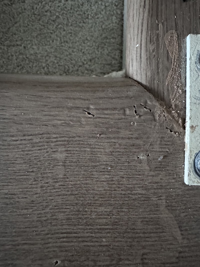 Allied Flooring Services, Inc./AAA Flooring Company