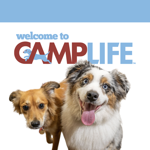 Camp Bow Wow Las Vegas